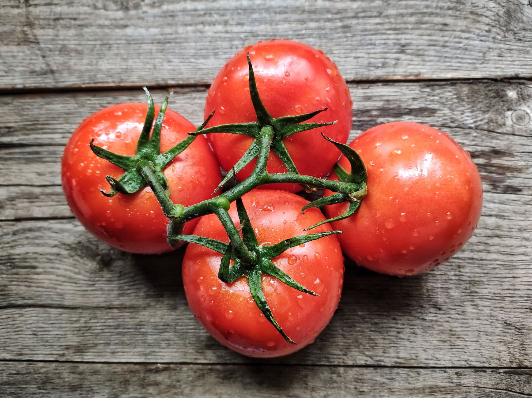 Deep red Campari tomatoes attached to the vine in a grocery store clamshell package