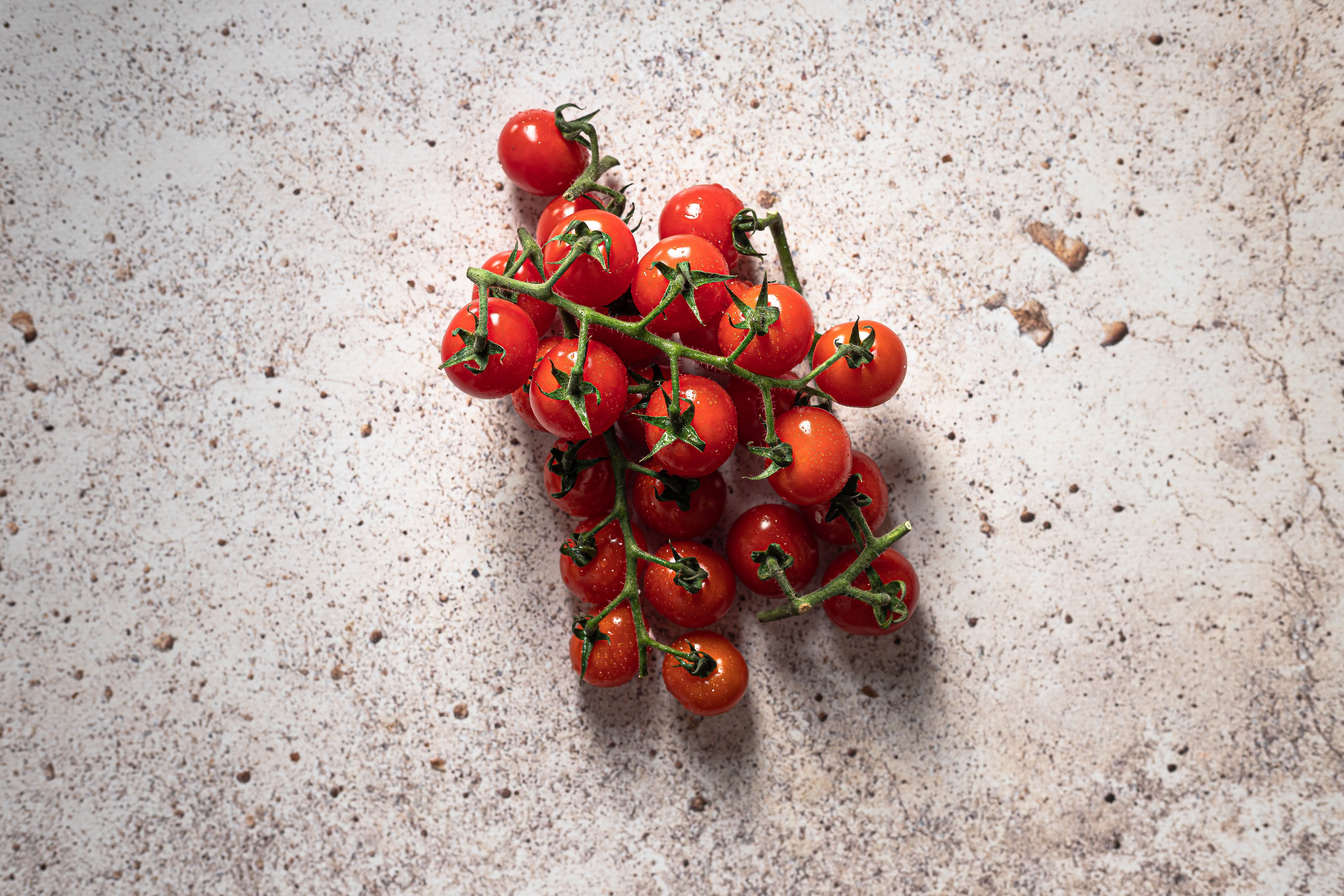 Lush cherry tomato plants with ripe fruit hanging in a garden, showcasing vibrant red and green colors.