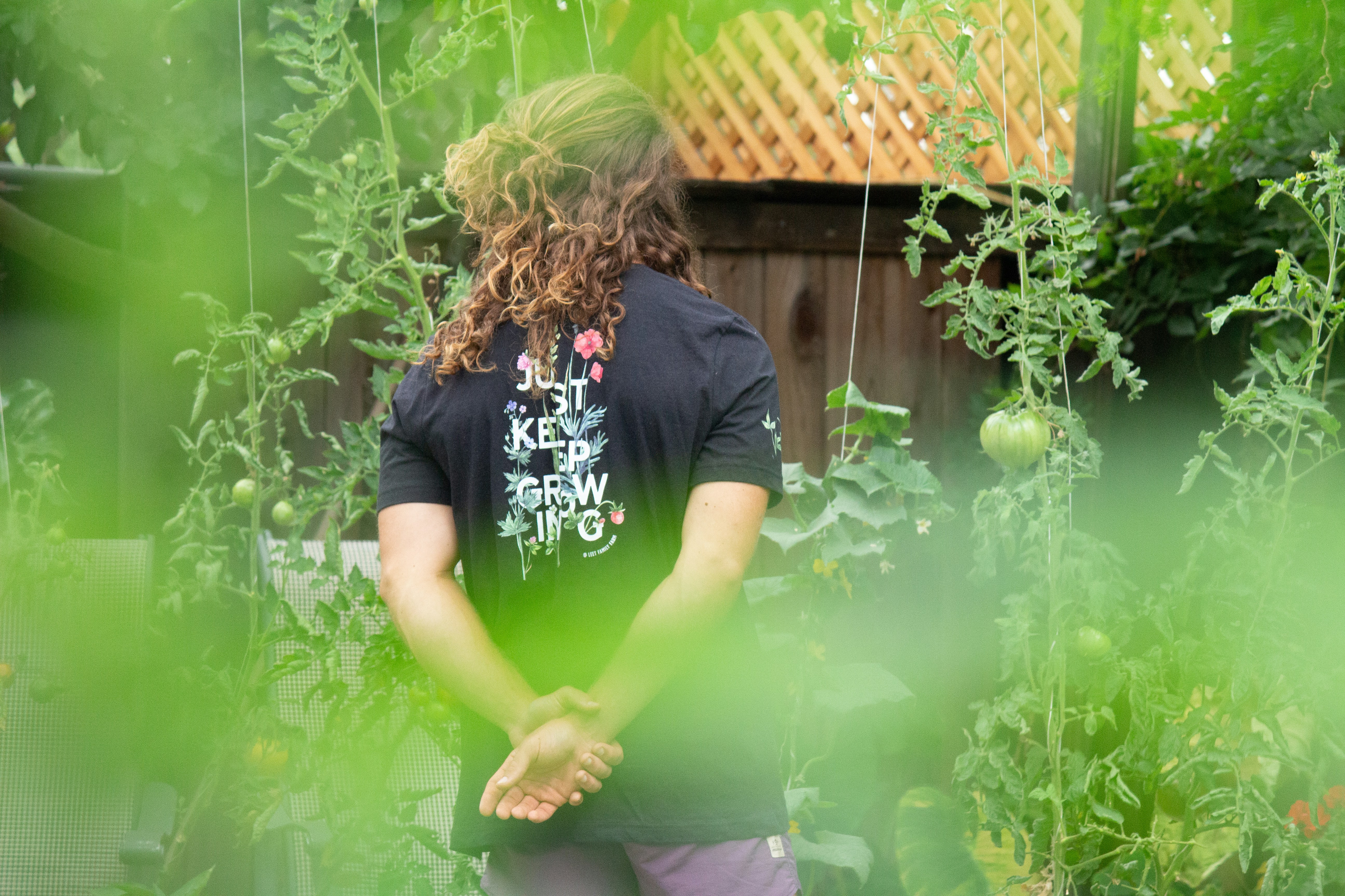 Person tending a lush tomato garden with Just Keep Growing shirt