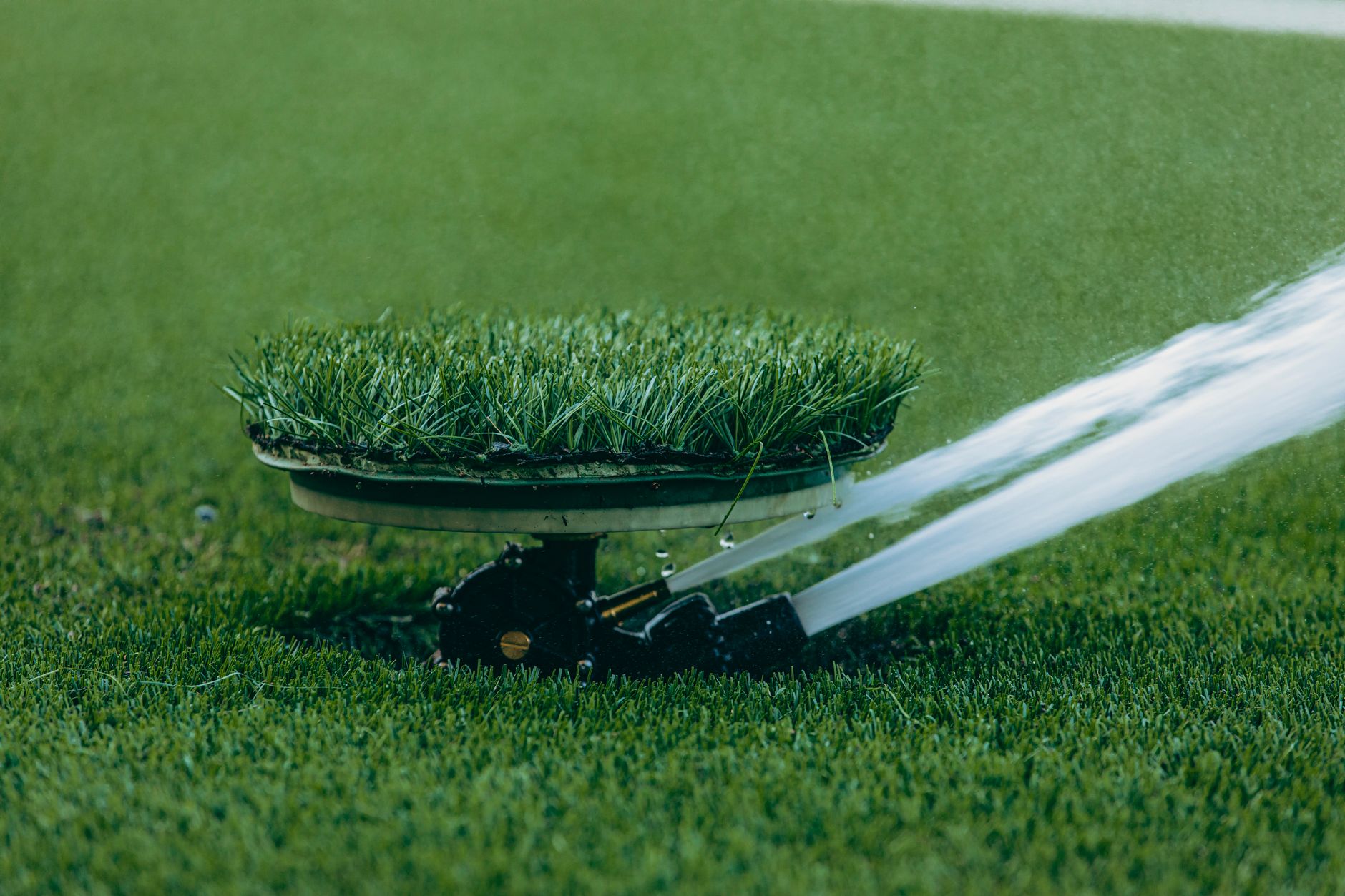 Drought tolerant grass seed scattered on dry soil ready for planting in a low-water lawn