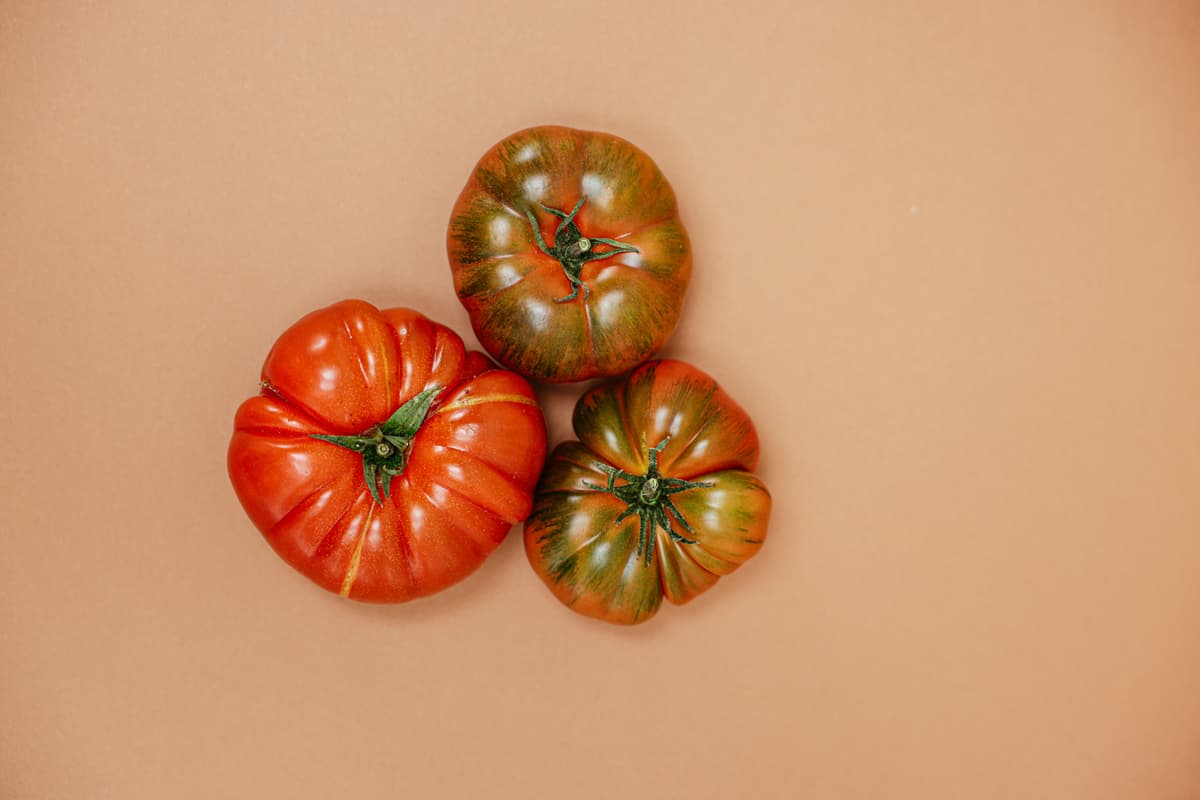 Dark red and mahogany Black Krim tomatoes ripening on the vine with green shoulders visible in a home vegetable garden