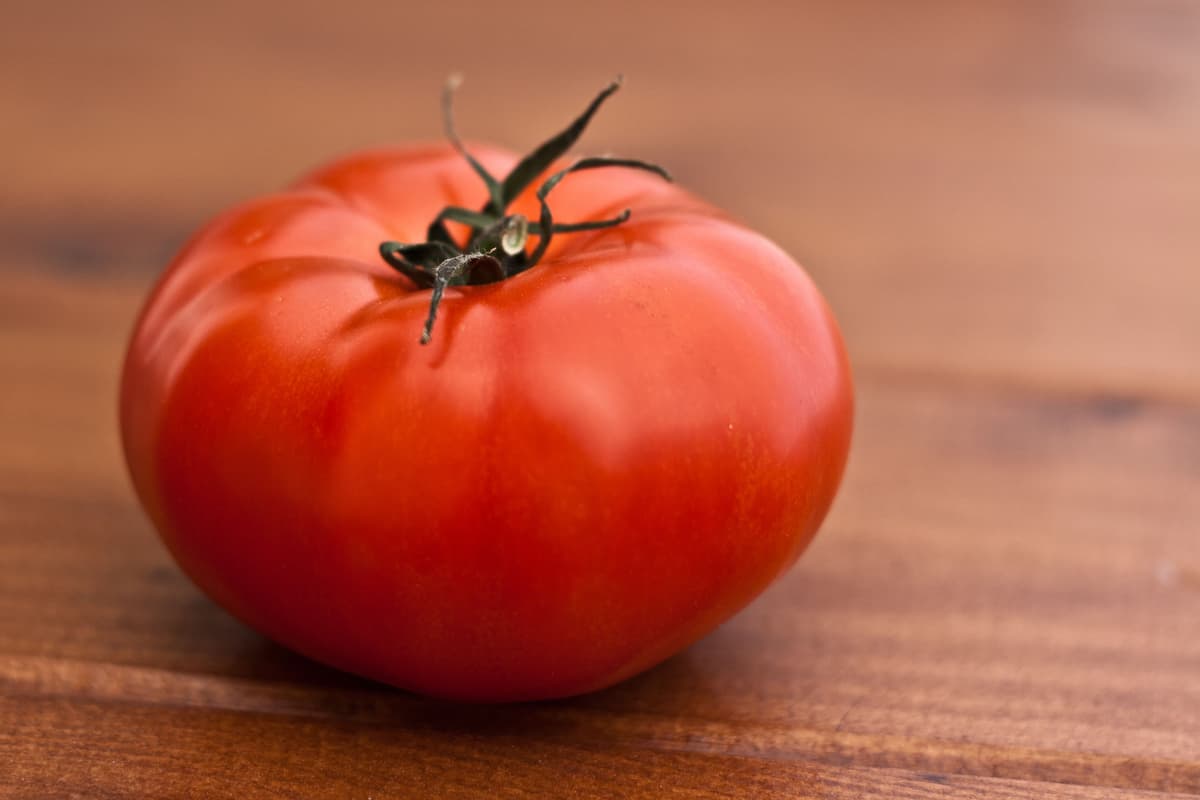 Tall Mortgage Lifter tomato plant growing in a garden with sturdy stakes and ripe pink fruit
