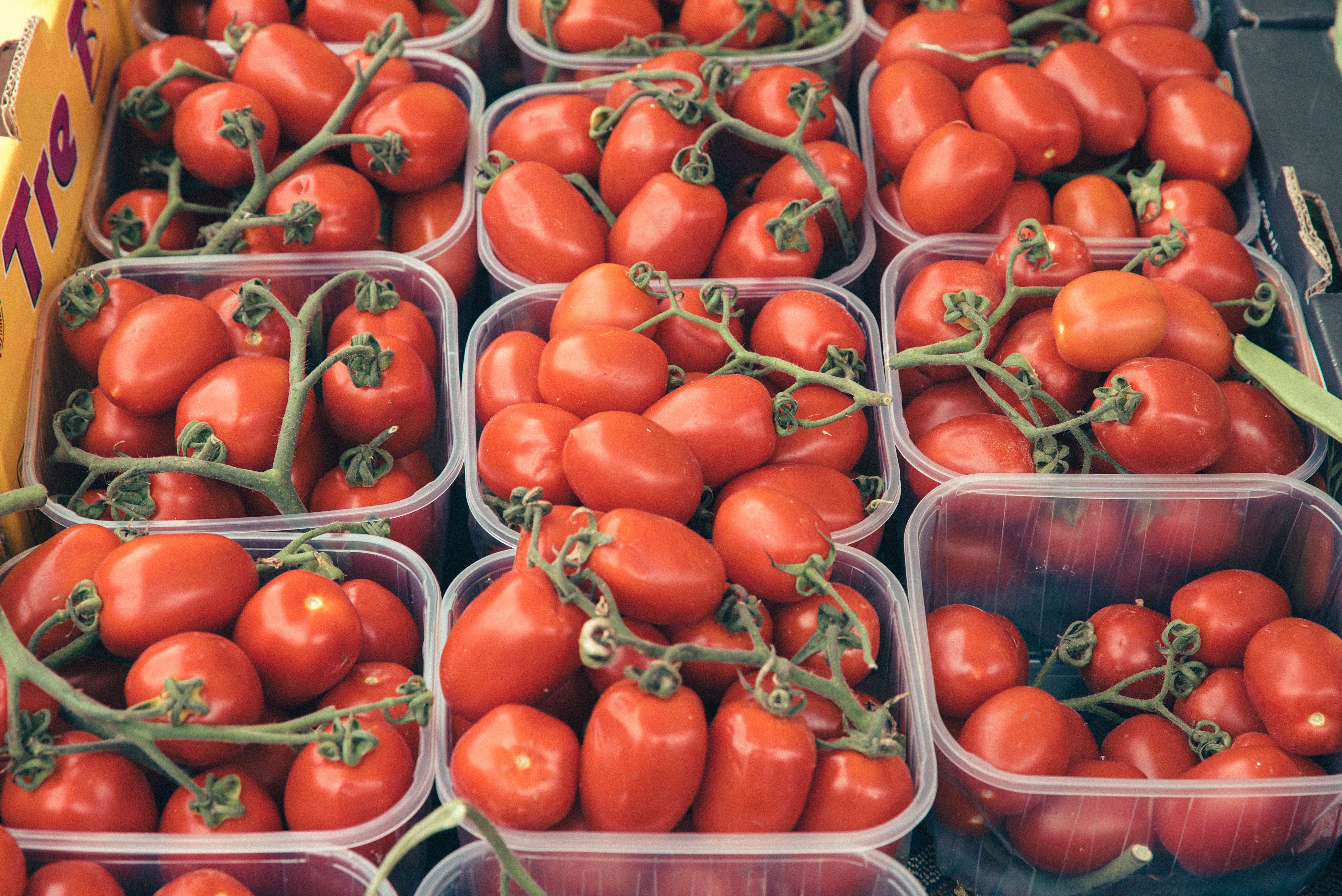 A close-up shot of abundant ripe Roma tomatoes at a farmers market.
