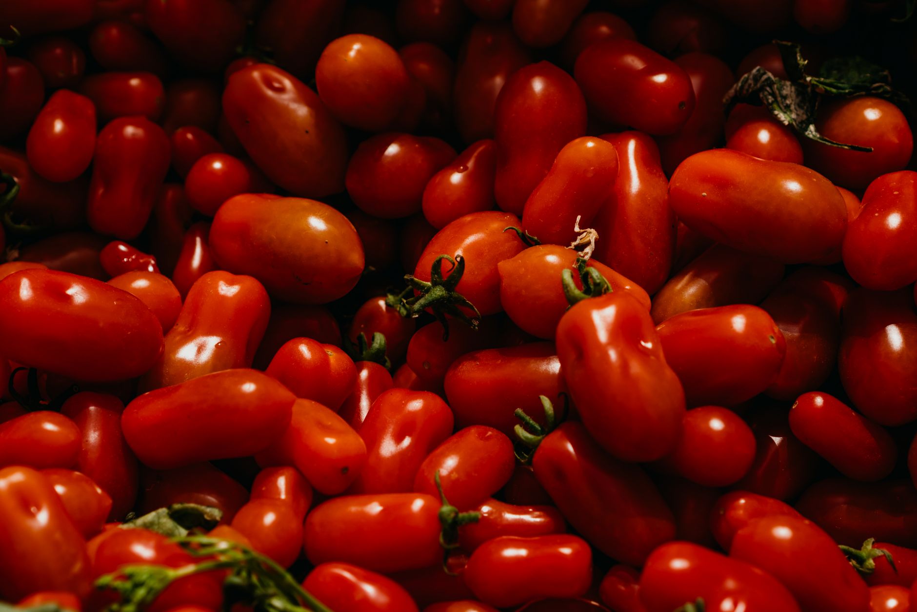 A vibrant display of ripe organic red tomatoes, perfect for healthy eating concepts.