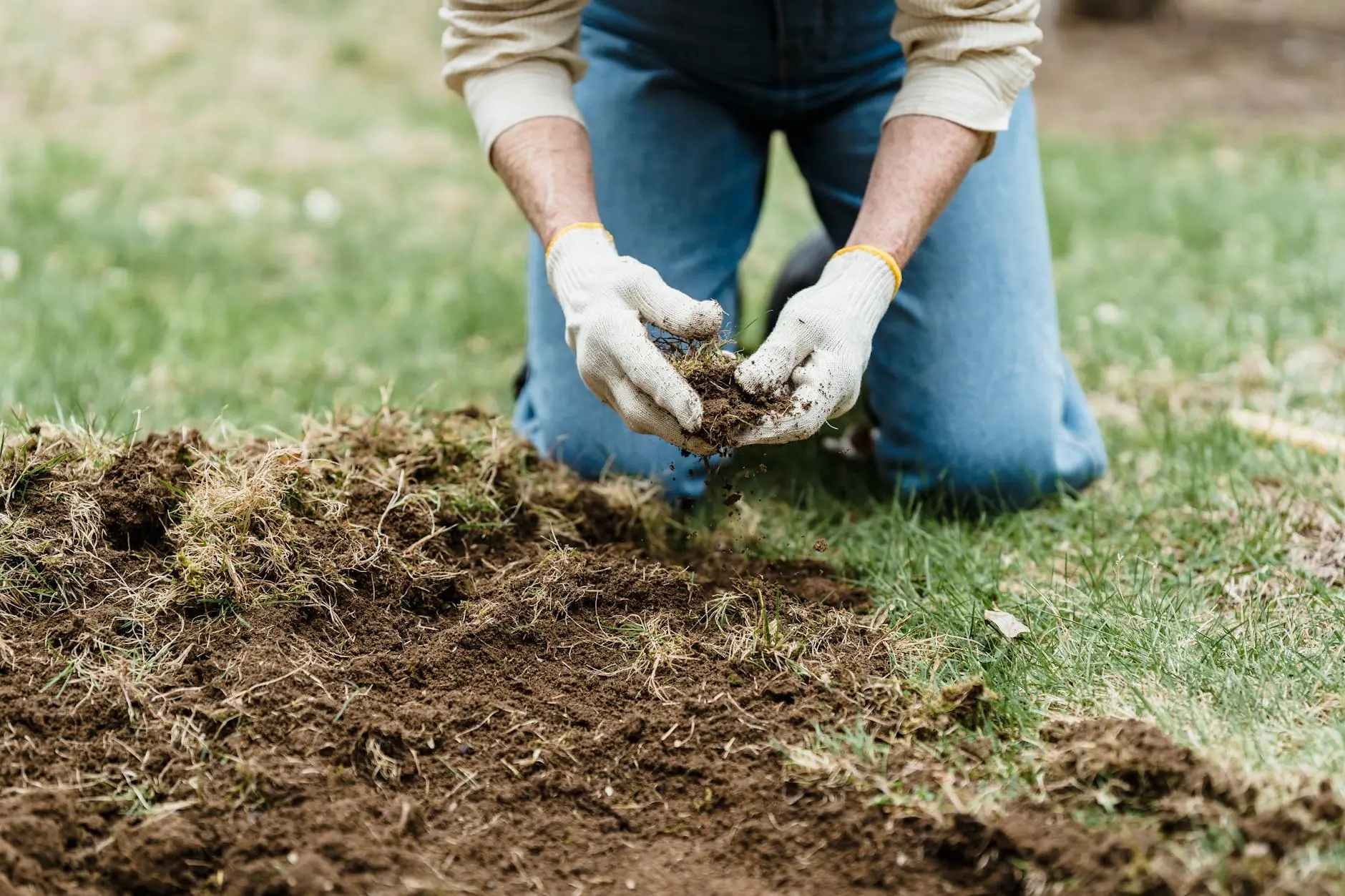 Landscape fabric being rolled out over prepared garden soil with staples securing the edges