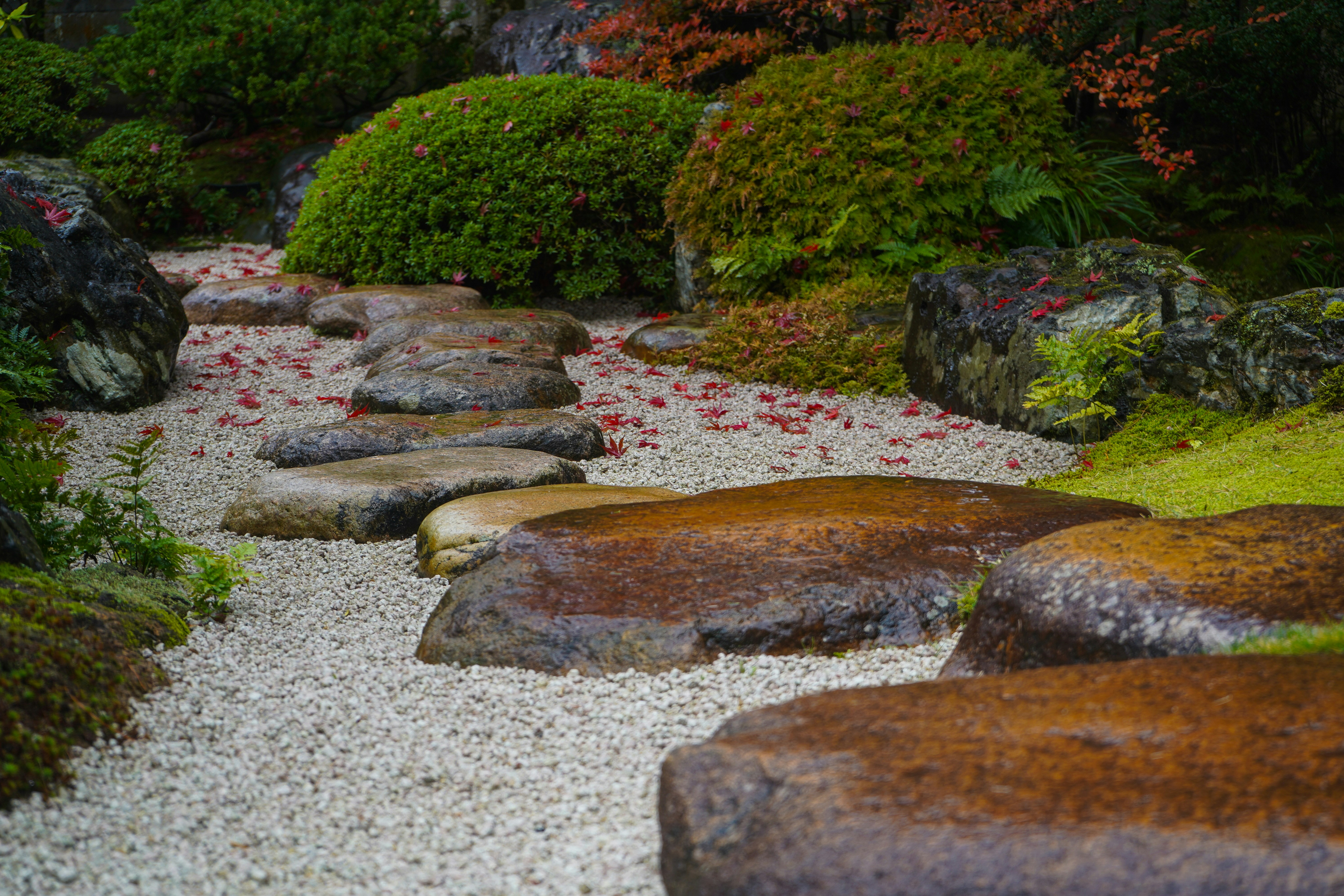 A rainy day in a residential courtyard with lush greenery and stone pavement.
