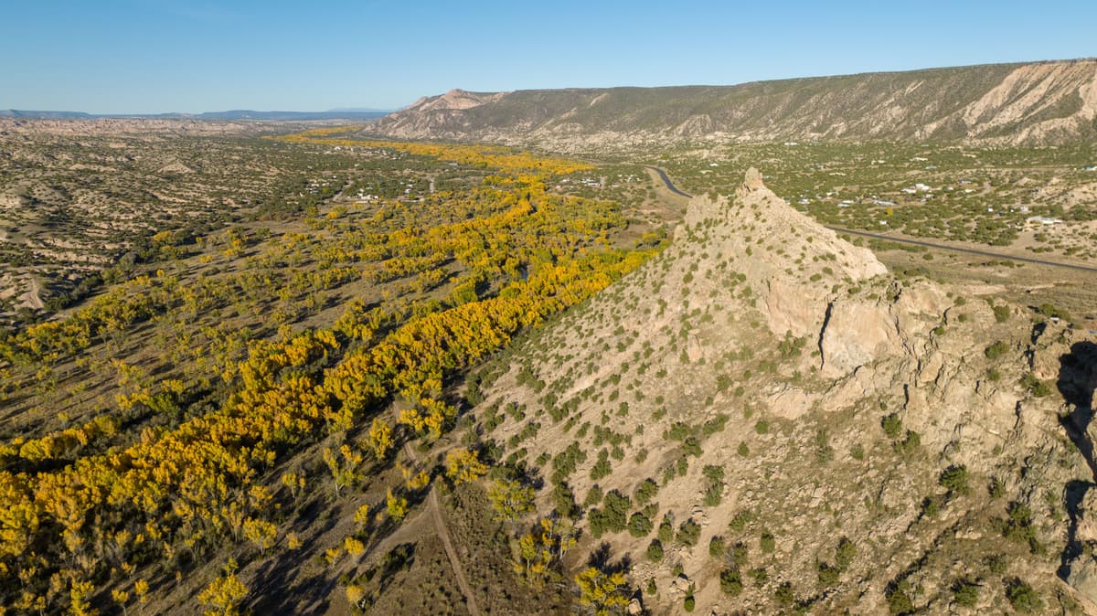 Aerial view of colorful autumn trees in New Mexico landscape