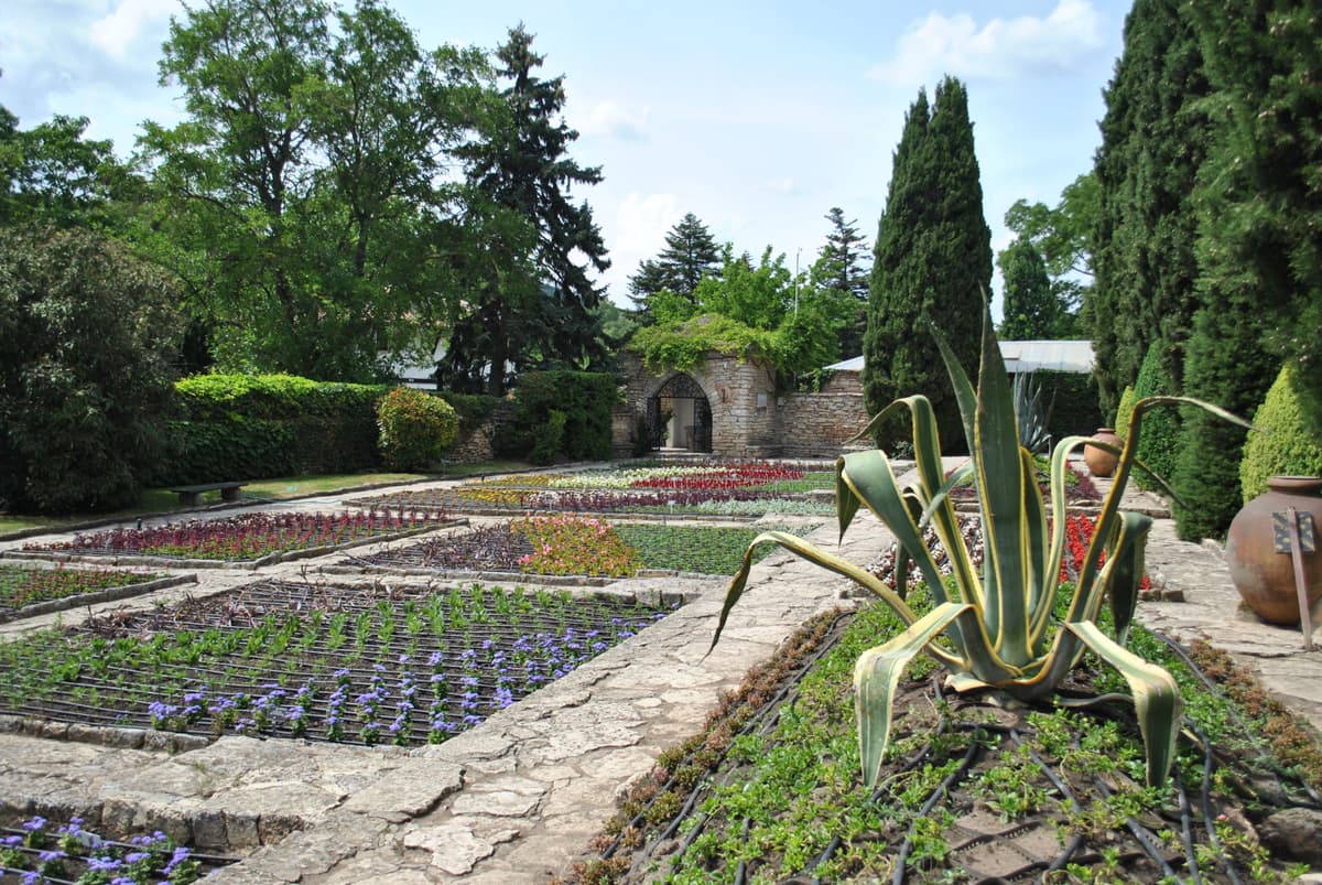 Stone garden with colorful flowers and agave plants in New Mexico