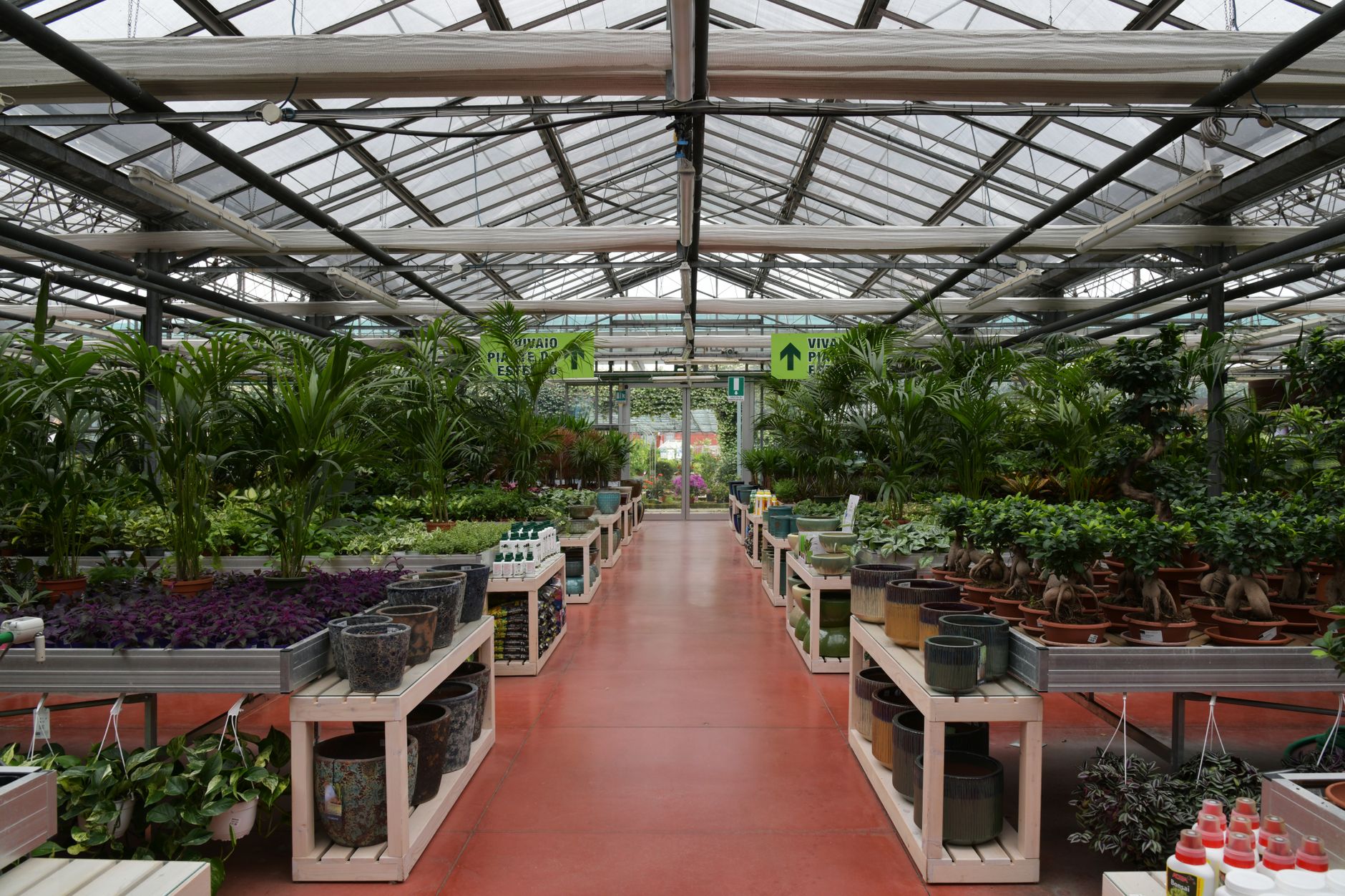 Plant pots in different sizes lined up on a shelf, showing the range of diameters and depths to compare when choosing the right pot size.