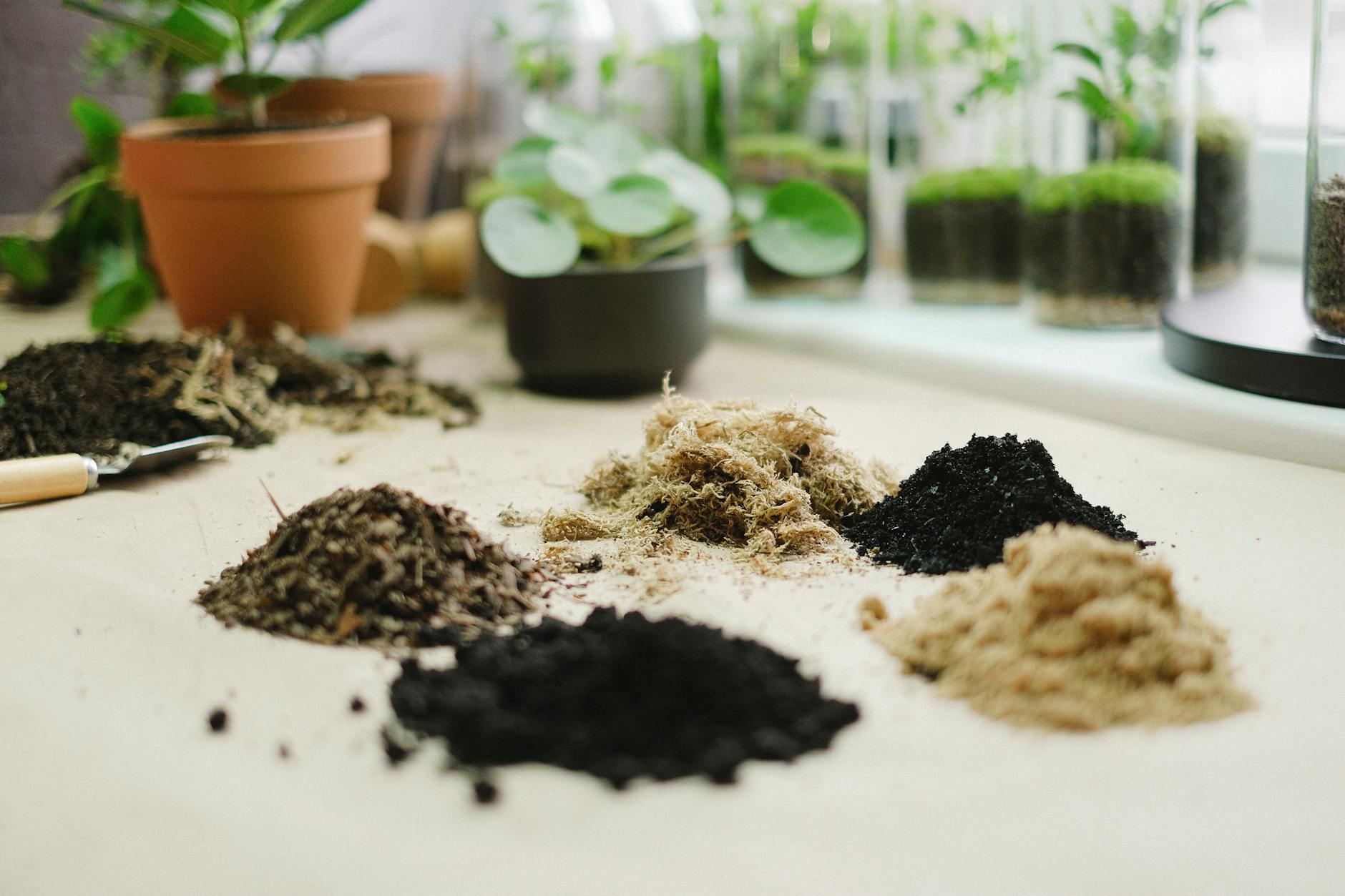 Hands mixing succulent potting soil with perlite and sand ingredients on a table