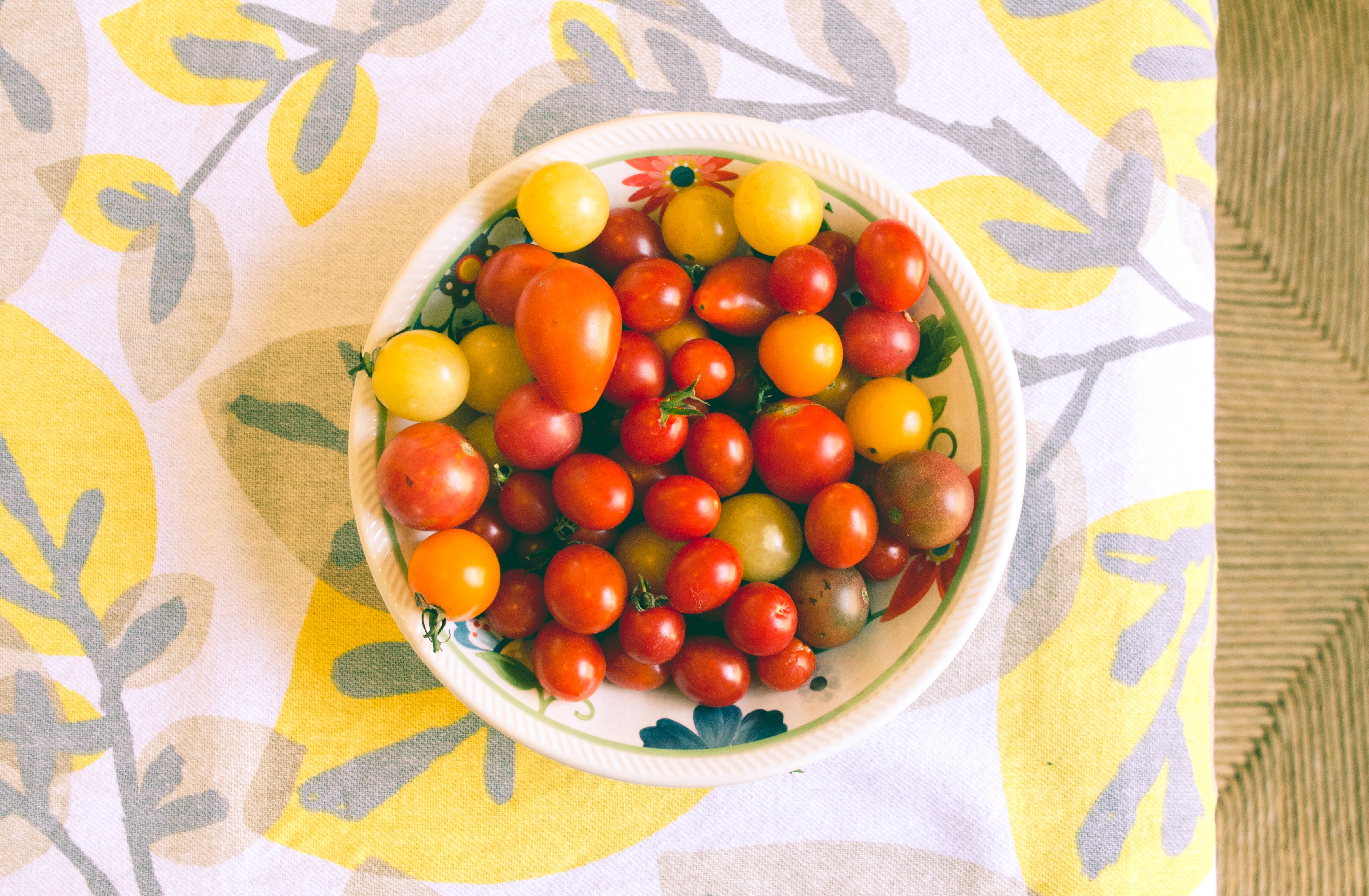 Golden yellow SunSugar cherry tomatoes growing in clusters on a vine in a home vegetable garden