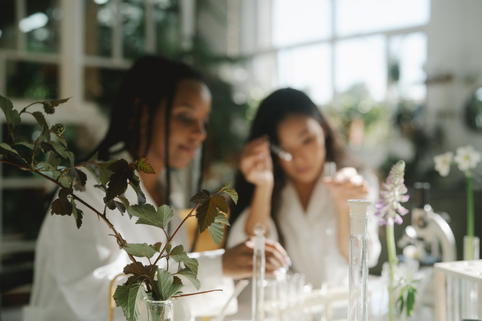 Person talking to a houseplant while checking its leaves and soil for signs of healthy growth
