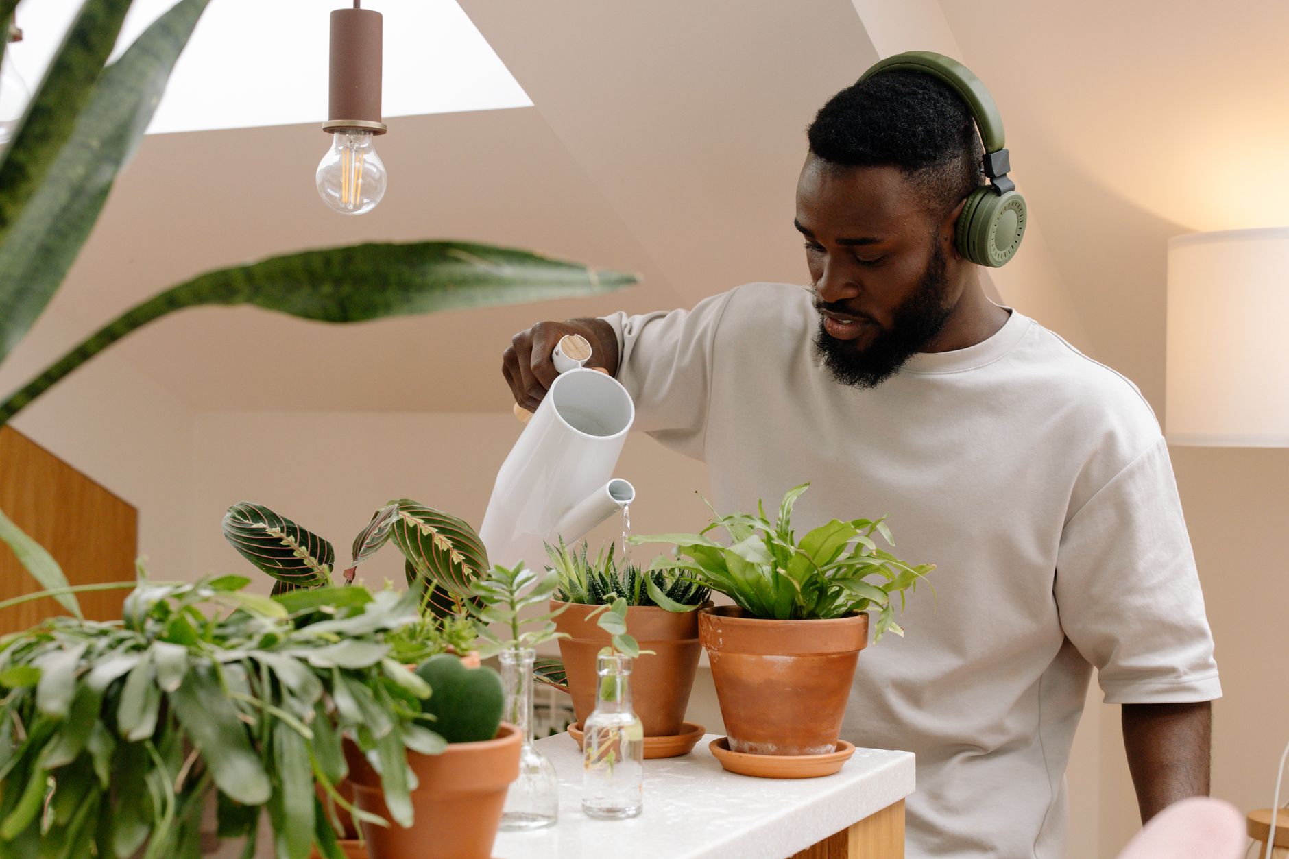 Person talking to a houseplant while checking its leaves and soil for signs of healthy growth