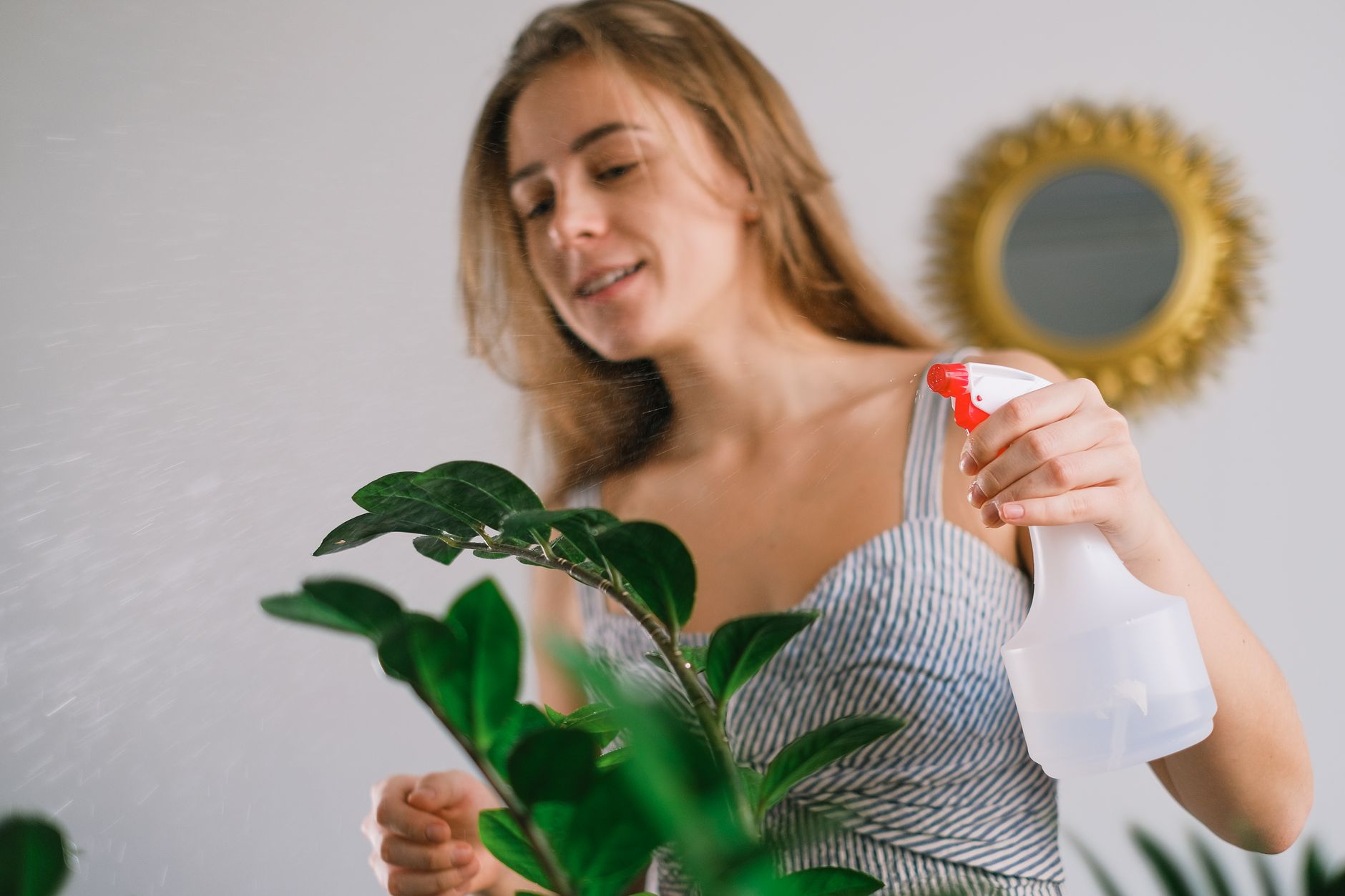 Person talking to a houseplant while checking its leaves and soil for signs of healthy growth