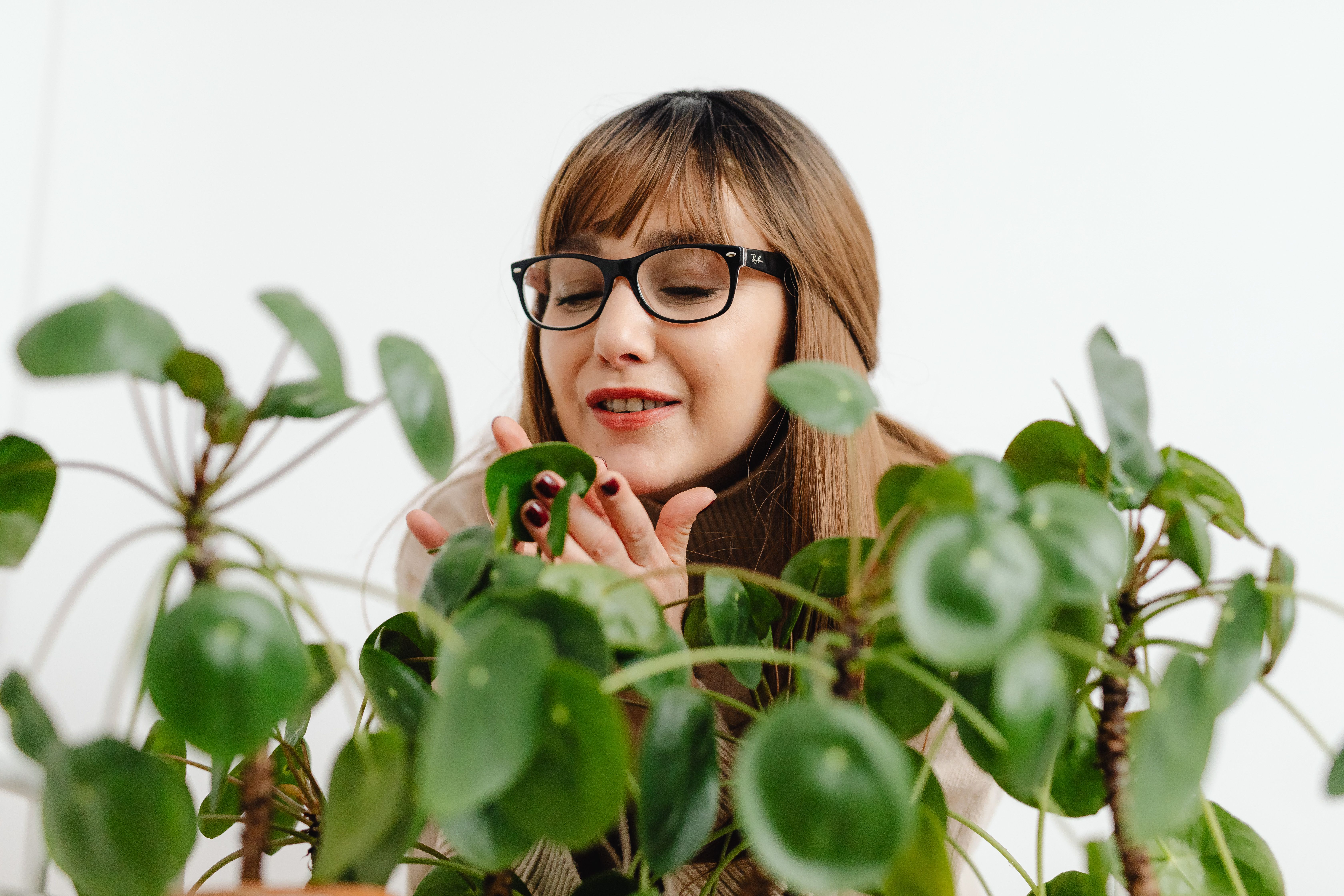 Asian woman and Caucasian man in a heated discussion, surrounded by indoor plants.