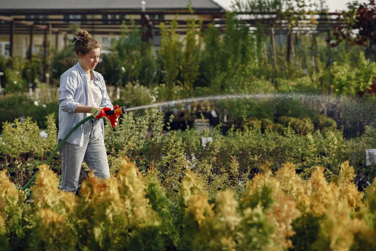 Woman watering plants in a lush garden, promoting Washington Native Plants for Beginners