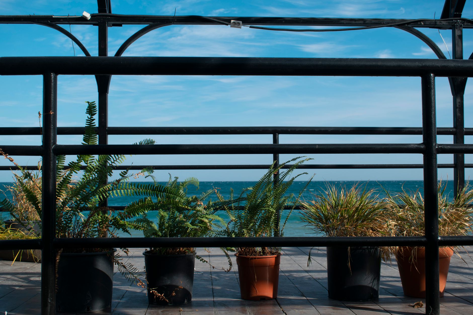 Watering potted plants on an upper deck with a watering can, with runoff collected in a deep saucer
